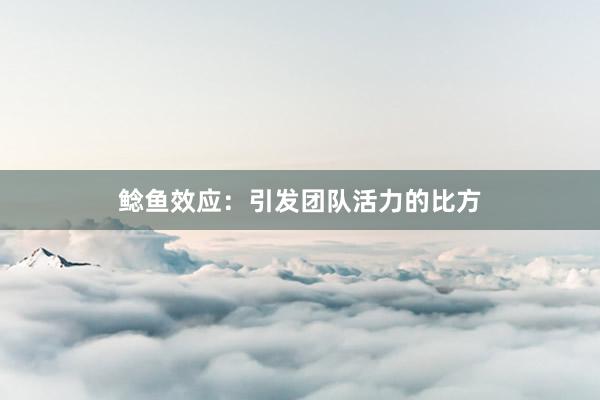 鲶鱼效应：引发团队活力的比方